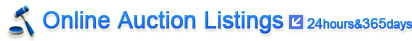 Online Auction Listings