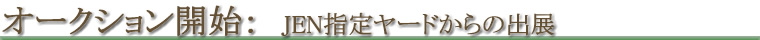 オークション開始