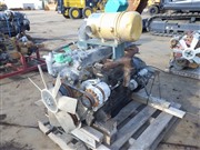 サンプルイメージ