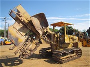 Sample Images
