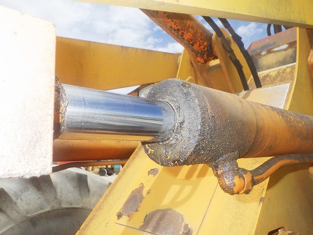 JEN NET Auction