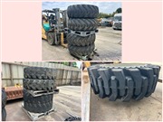 Sample Images
