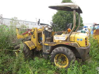 Sample Images